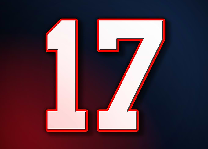 17 Jersey Patriot Patriots
