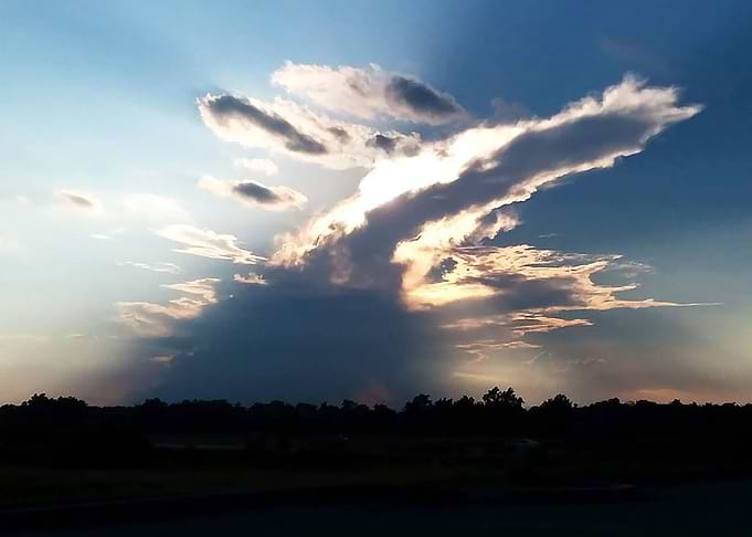 Among the Clouds
