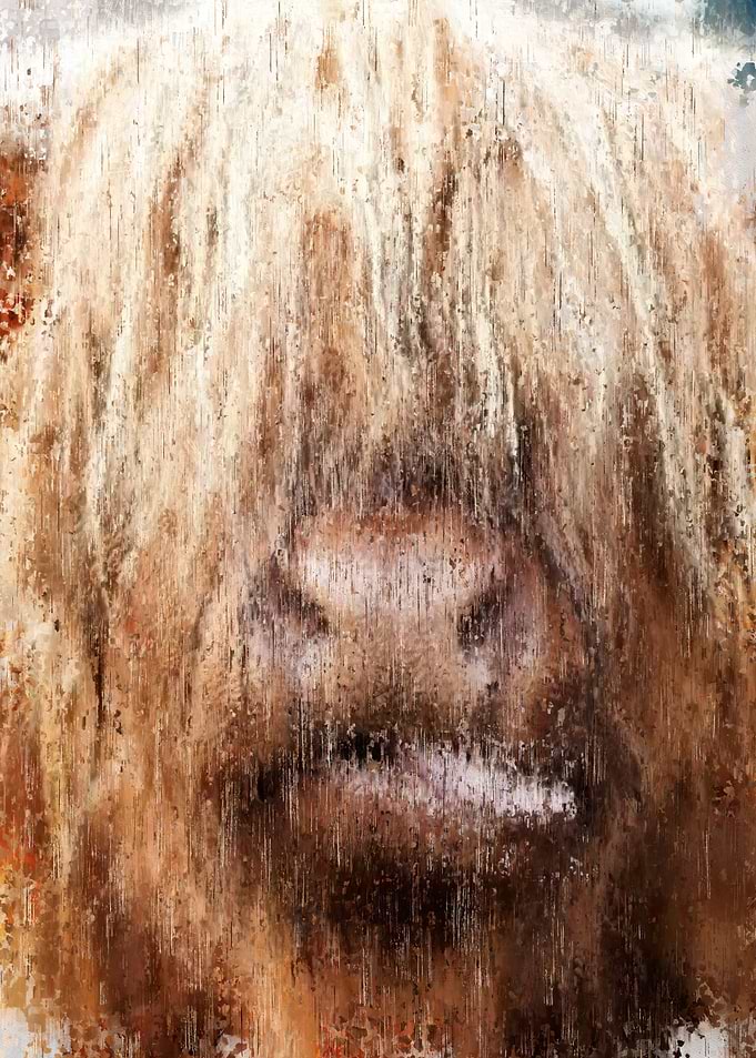 Cow