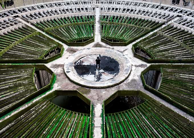 Plant Tower by Drone