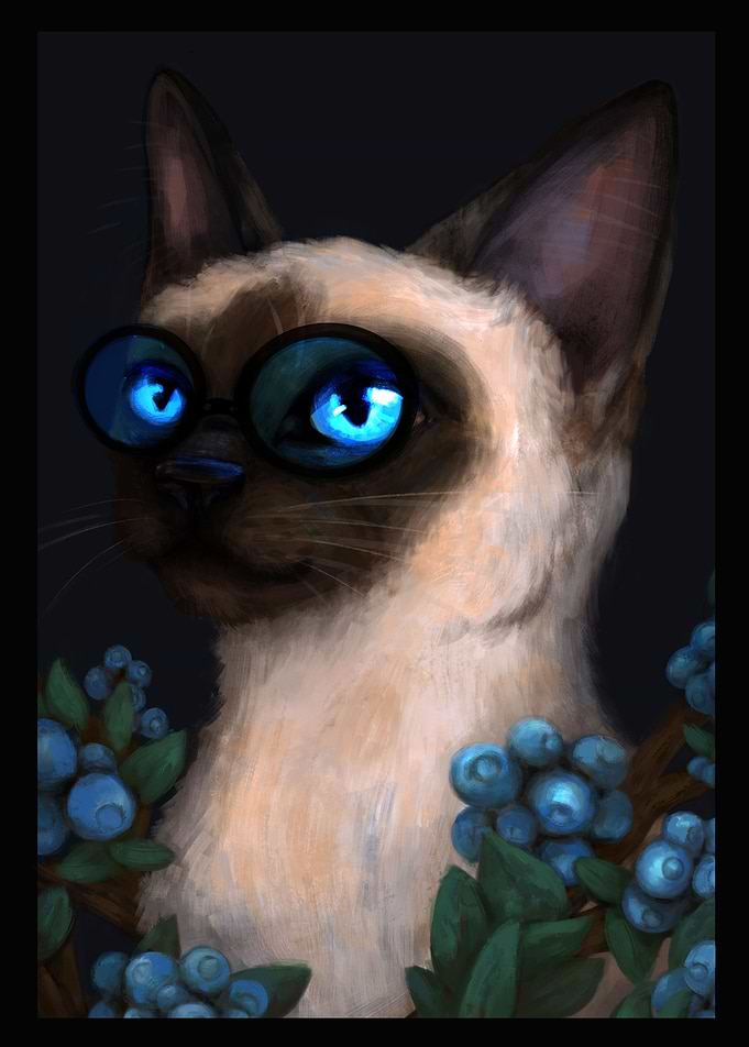 Siamese cat