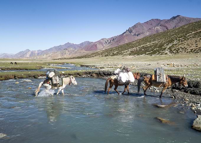 Horses crossing a river