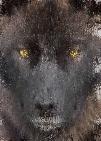 Black Wolf