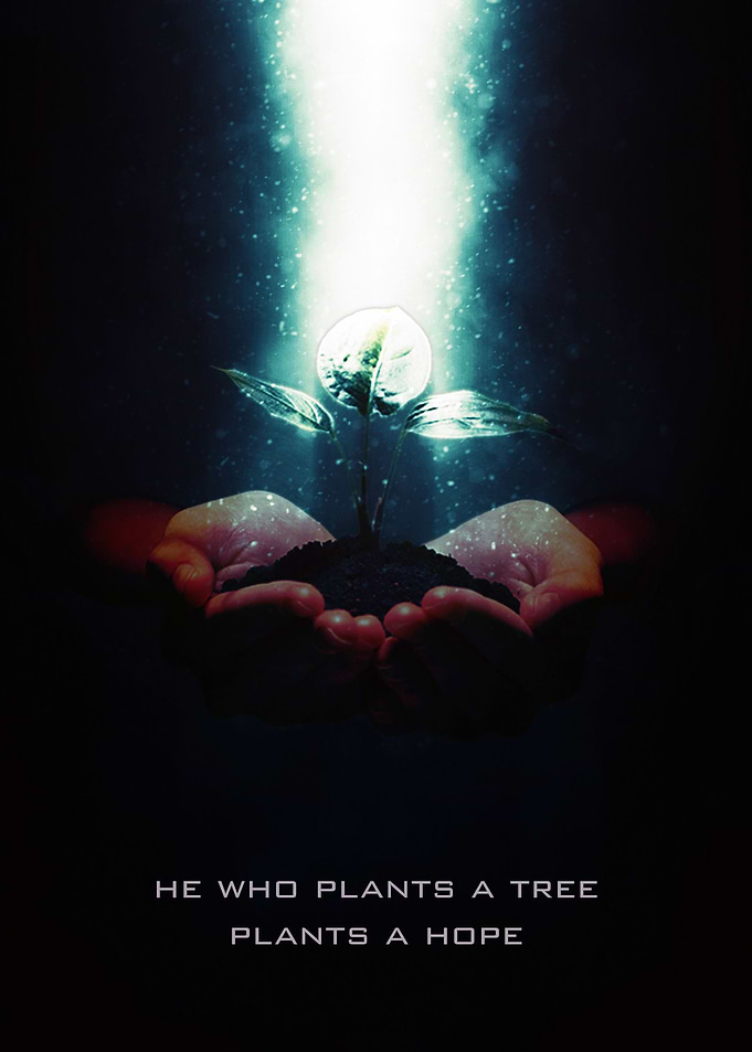 Plant a Tree