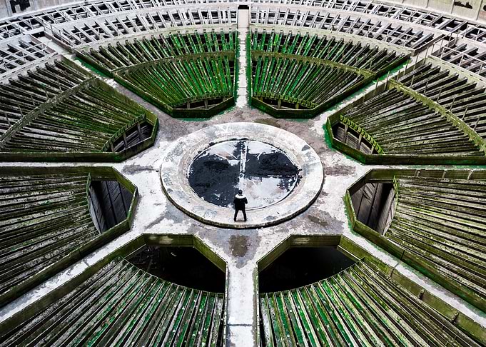 Plant Tower by Drone