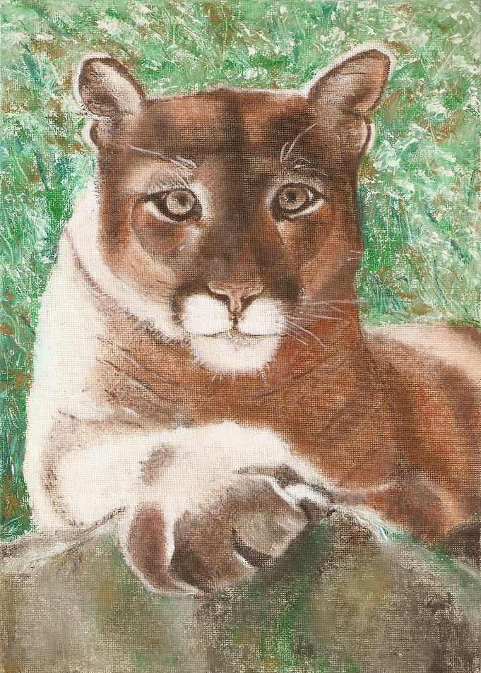 Lion 5