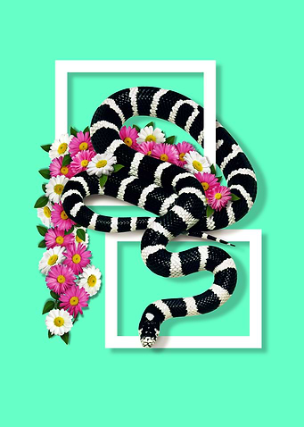 California kingsnake
