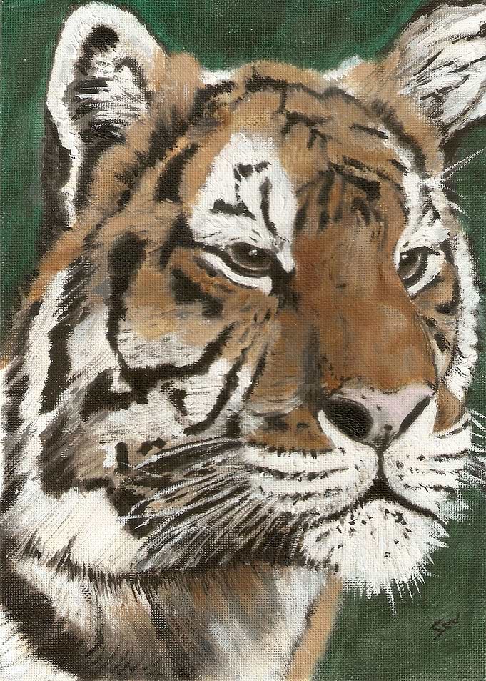 Tiger 1