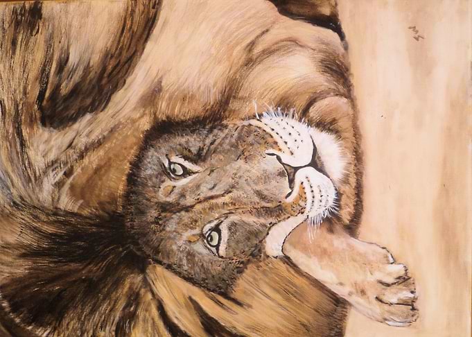 Lion 1