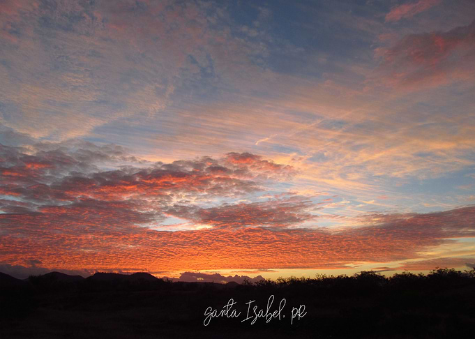 Bright Sunset