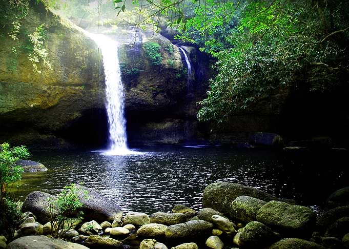 Forest Waterfall Oasis