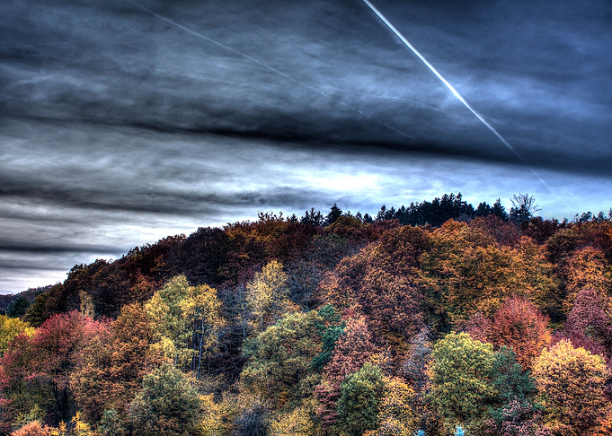 Autumn Dusk