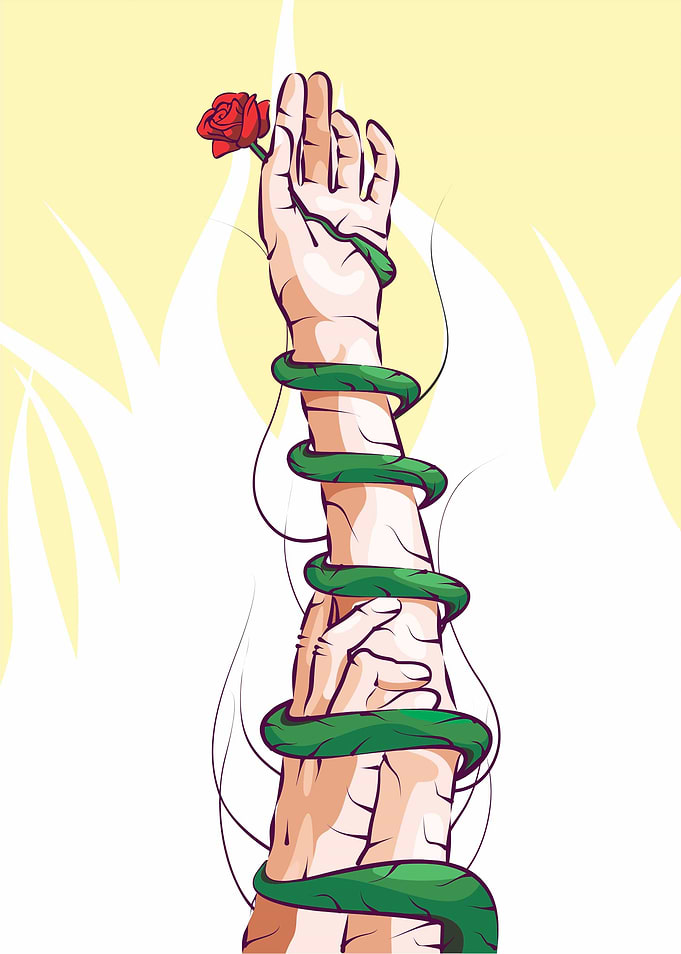 Hands and a Rose