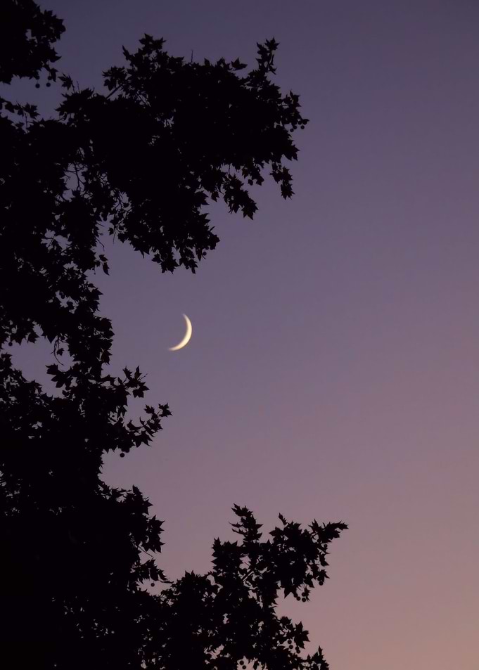 Smile Moon