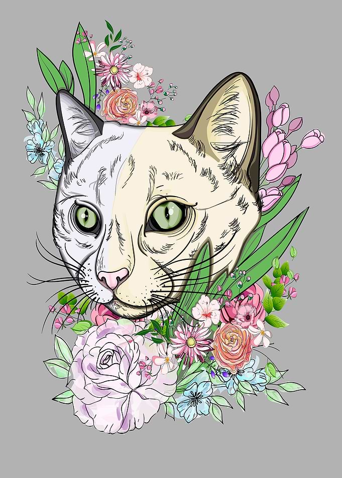 Cute muzzle cat