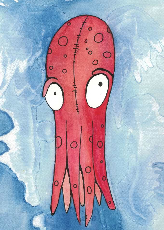 octopus