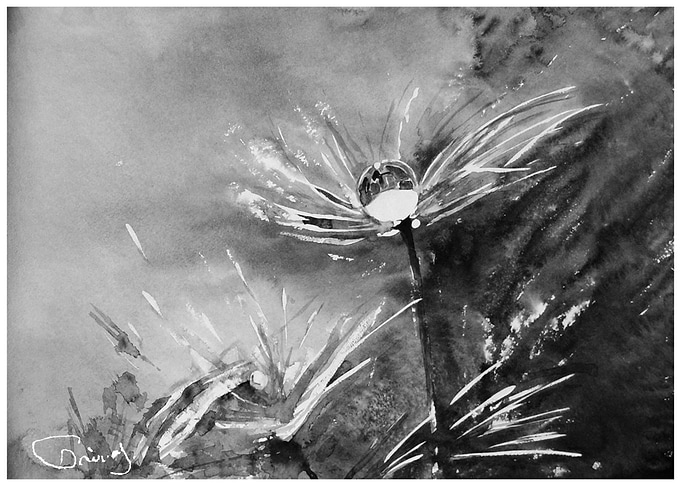 Dandelion