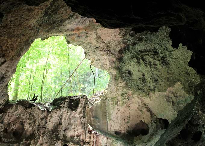 Inside the Cave