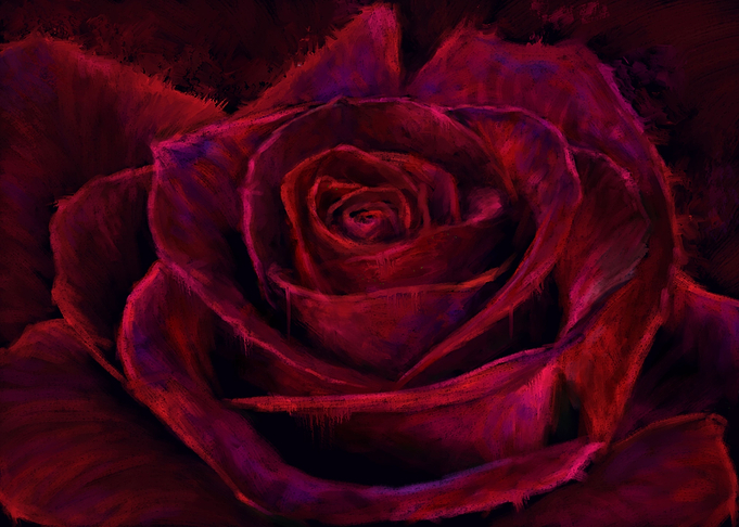 Red Rose Proud Rose
