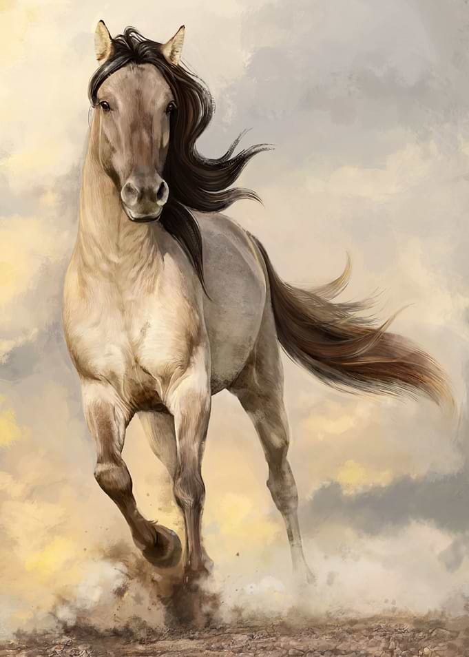 Galop