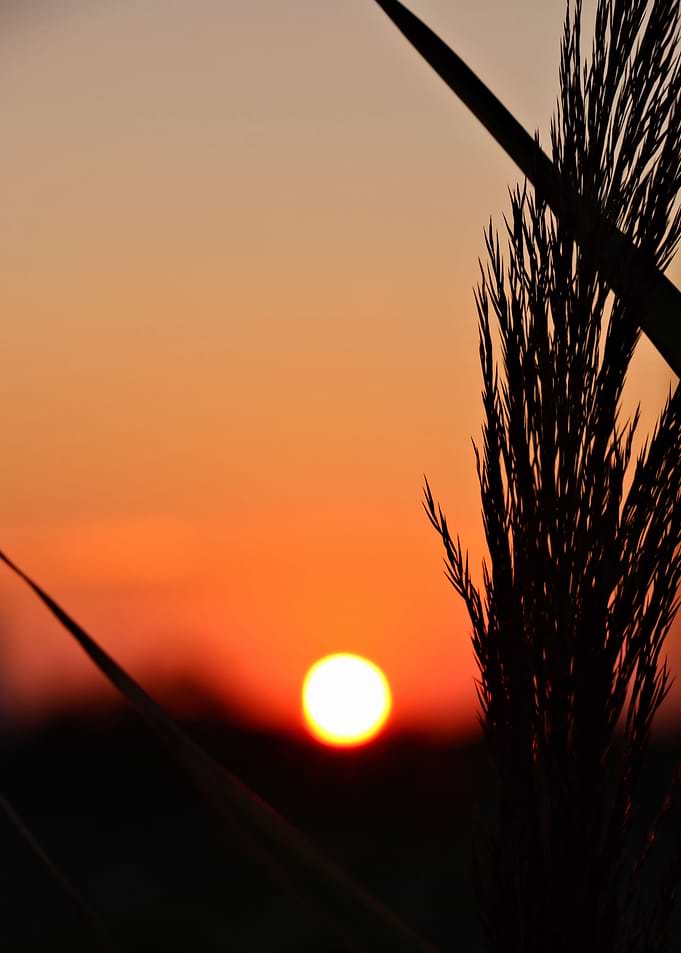 Through to the Setting Sun