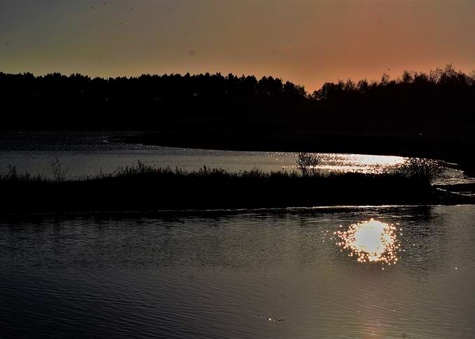 Reflecting Sun