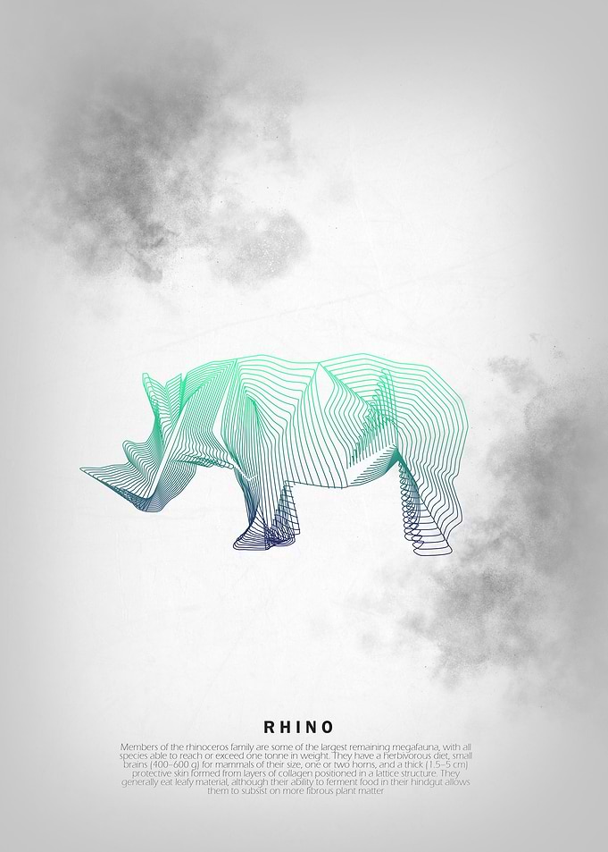 Rhino