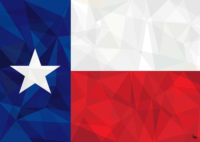 Texas Flag