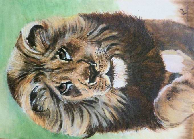 Lion 3