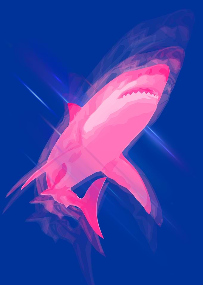 Shark