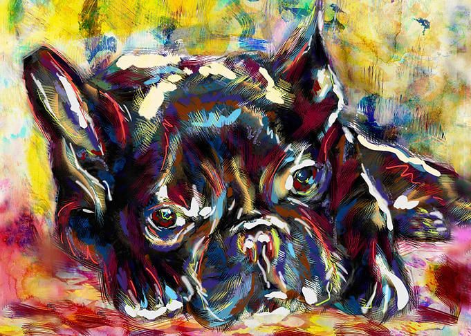 French Bulldog Art