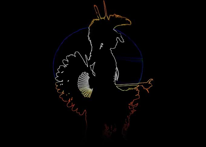 Native American