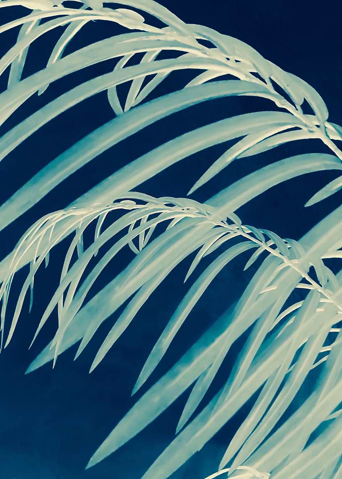 green leaves