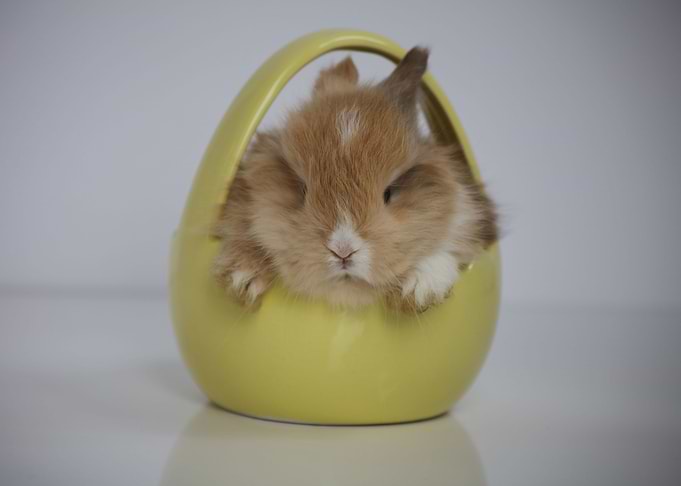 Easter stuffer