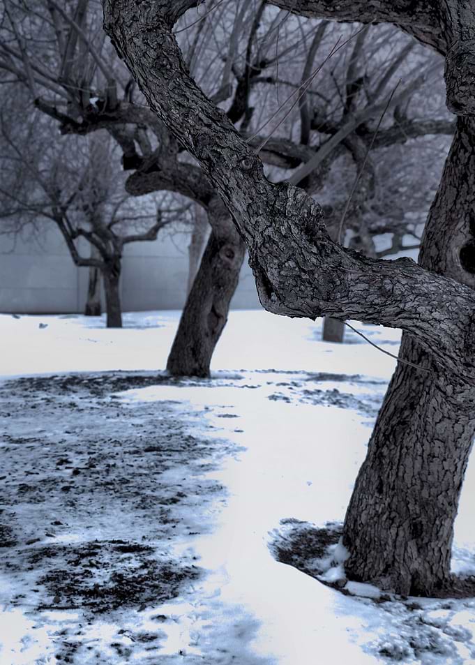 Snow covered Wasteland