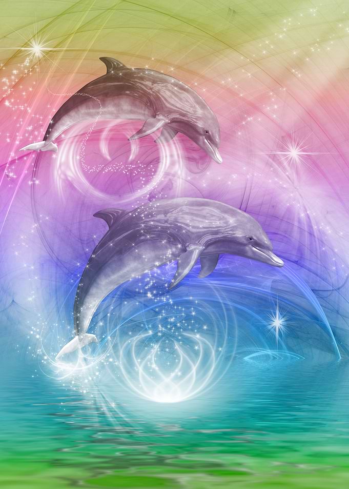 Dolphins Joyride