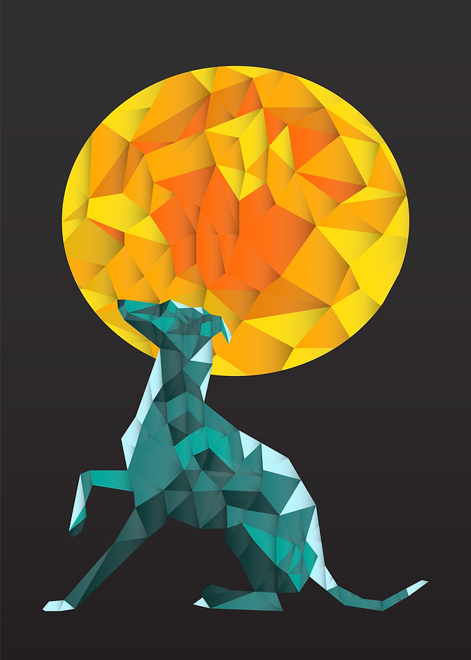 Low Poly Greyhound