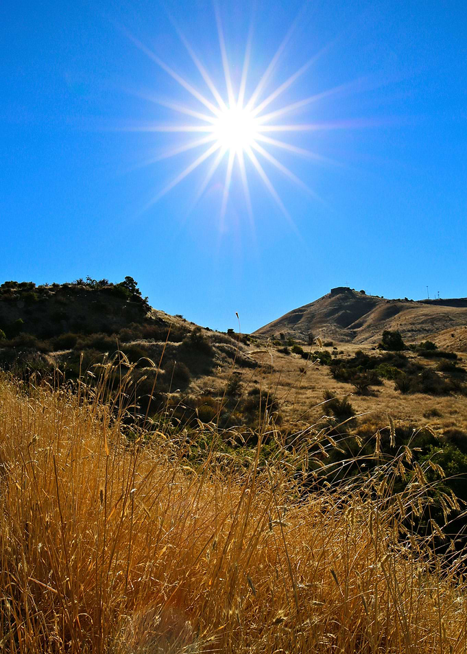 This Idaho Sun
