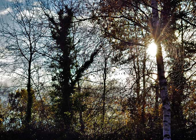 Sun Coming Through