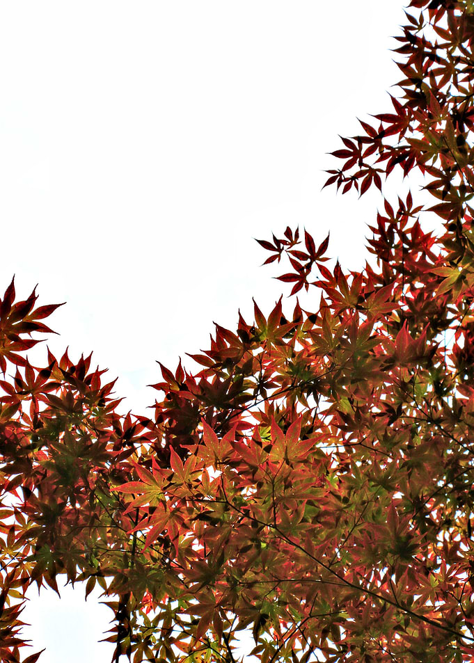 Changing of Seasons