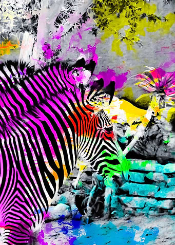 zebra