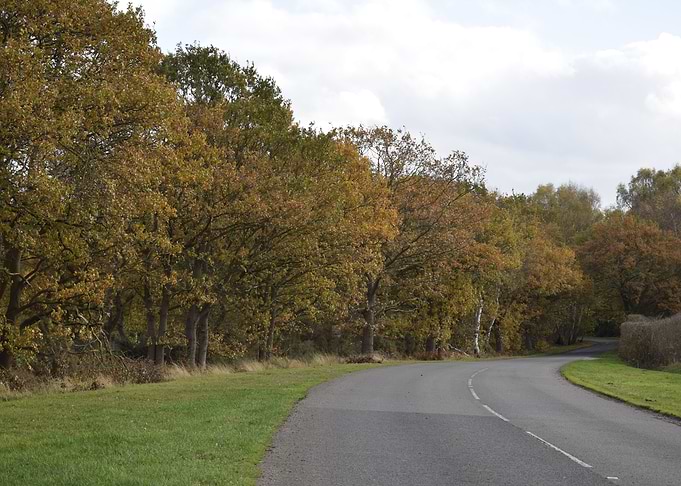 Country Road 2