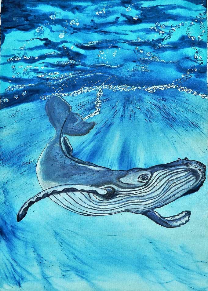 Blue whale