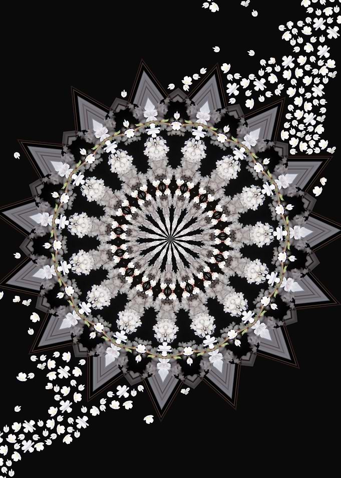 Wheel of Blossom