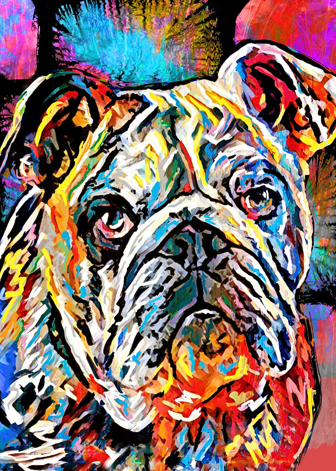English Bulldog Artwork
