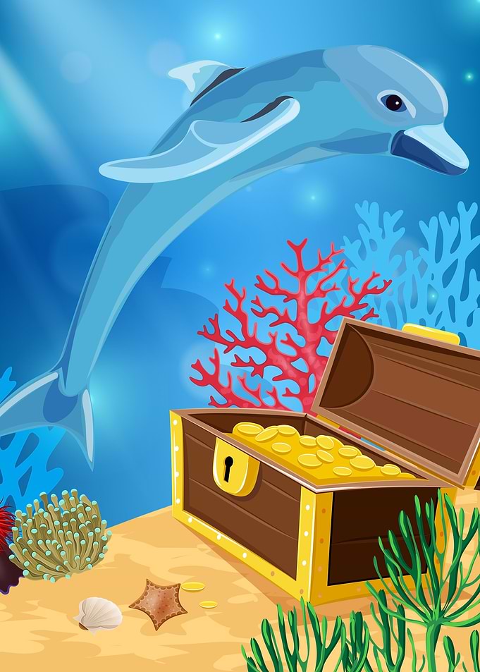sea life dolphin