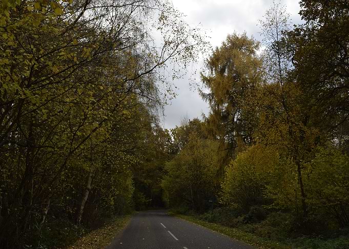 Country Road 1