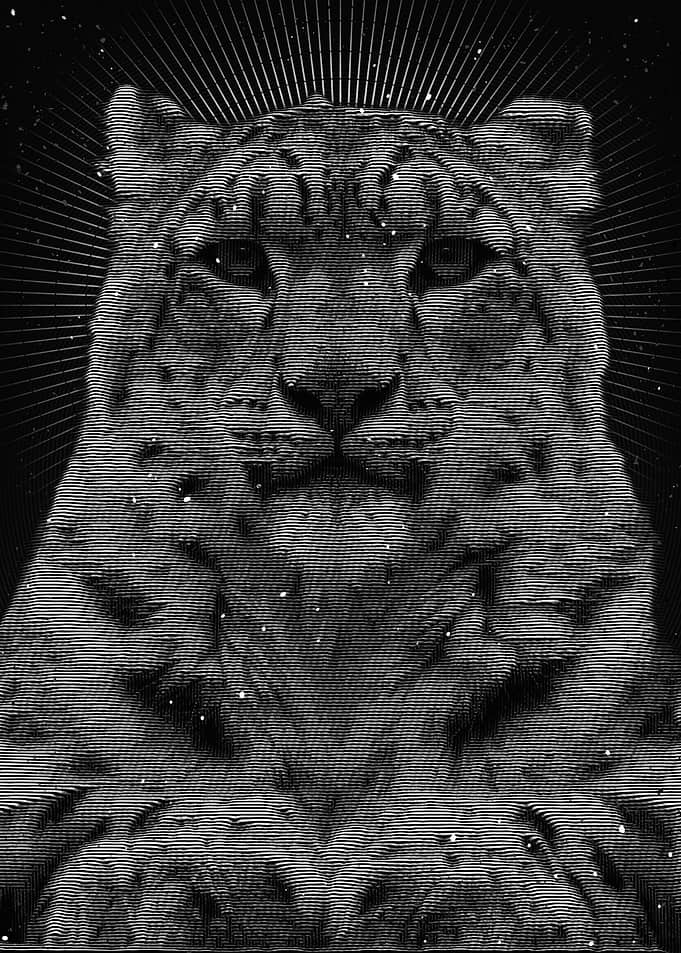 Panthera uncia