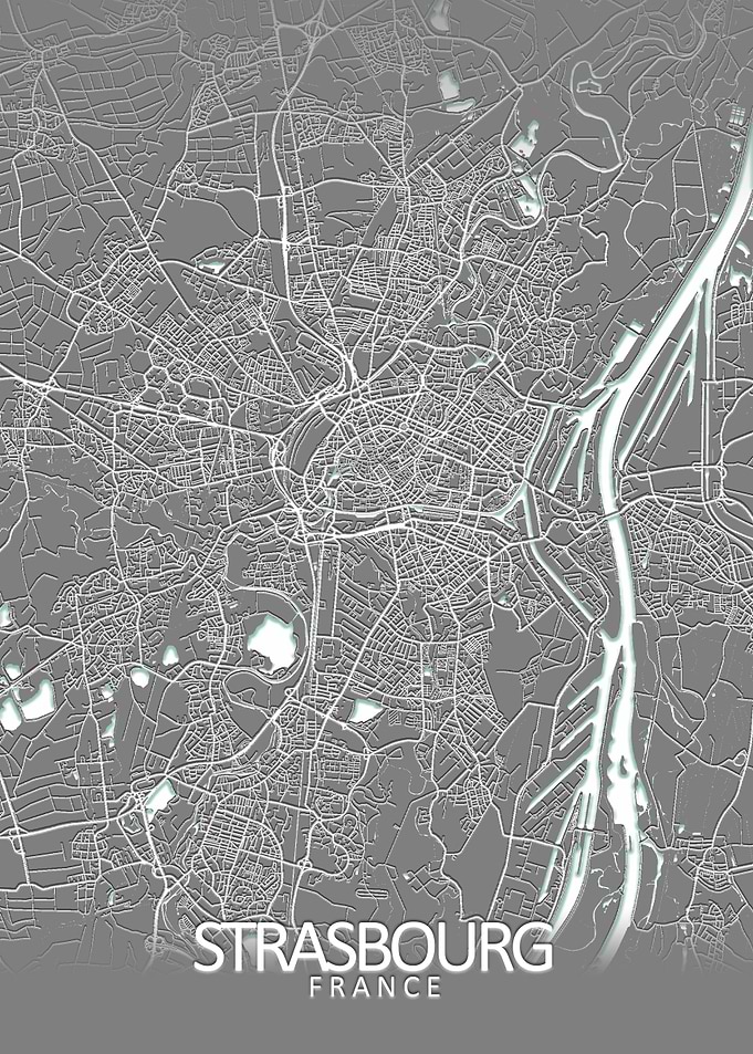 Strasbourg Grey City Map
