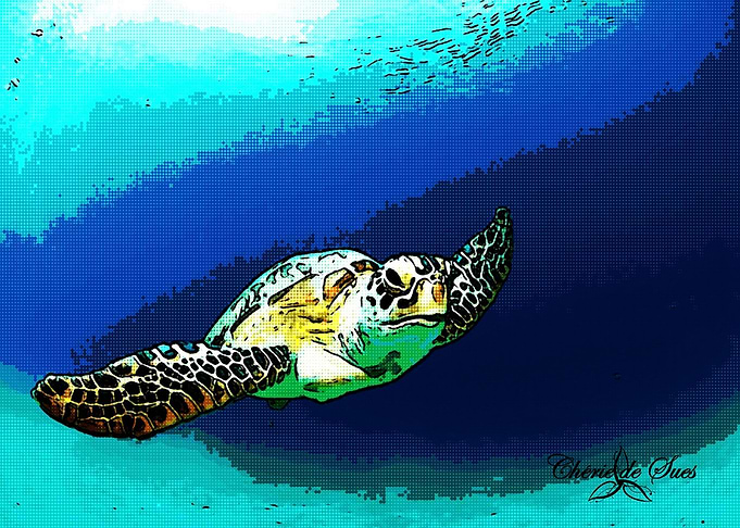 Hawaiian Sea Turtle